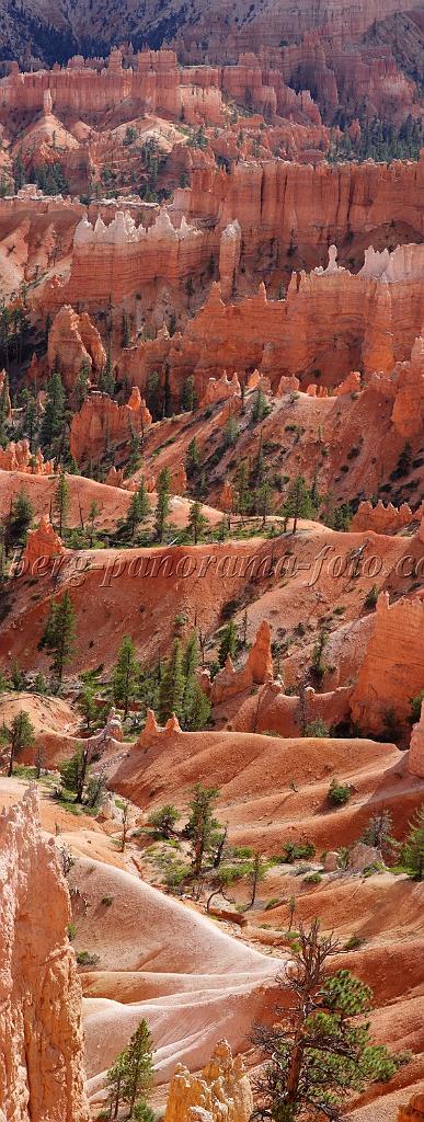8979_11_10_2010_bryce_canyon_national_park_utah_sunrise_point_rim_trail_panoramic_landscape_outlook_viewpoint_photography_panorama_landschaft_85_4198x11114.jpg