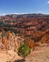 16671_01_10_2014_bryce_canyon_sunrise_point_overlook_trail_utah_autumn_red_rock_blue_sky_fall_color_colorful_tree_mountain_forest_panoramic_landscape_photography_52_6485x8264