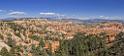 16675_01_10_2014_bryce_canyon_sunrise_point_overlook_trail_utah_autumn_red_rock_blue_sky_fall_color_colorful_tree_mountain_forest_panoramic_landscape_photography_48_15399x6908