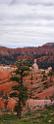 8686_09_10_2010_bryce_canyon_national_park_utah_sunrise_point_navajo_loop_trail_red_rock_scenic_outlook_sky_cloud_panoramic_landscape_photography_panorama_landschaft_83_4053x9293