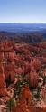 8706_09_10_2010_bryce_canyon_national_park_utah_sunrise_point_rim_trail_red_rock_scenic_outlook_sky_cloud_panoramic_landscape_photography_panorama_landschaft_10_4276x10391