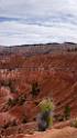 8728_09_10_2010_bryce_canyon_national_park_utah_sunrise_point_rim_trail_red_rock_scenic_outlook_sky_cloud_panoramic_landscape_photography_panorama_landschaft_100_4233x7502