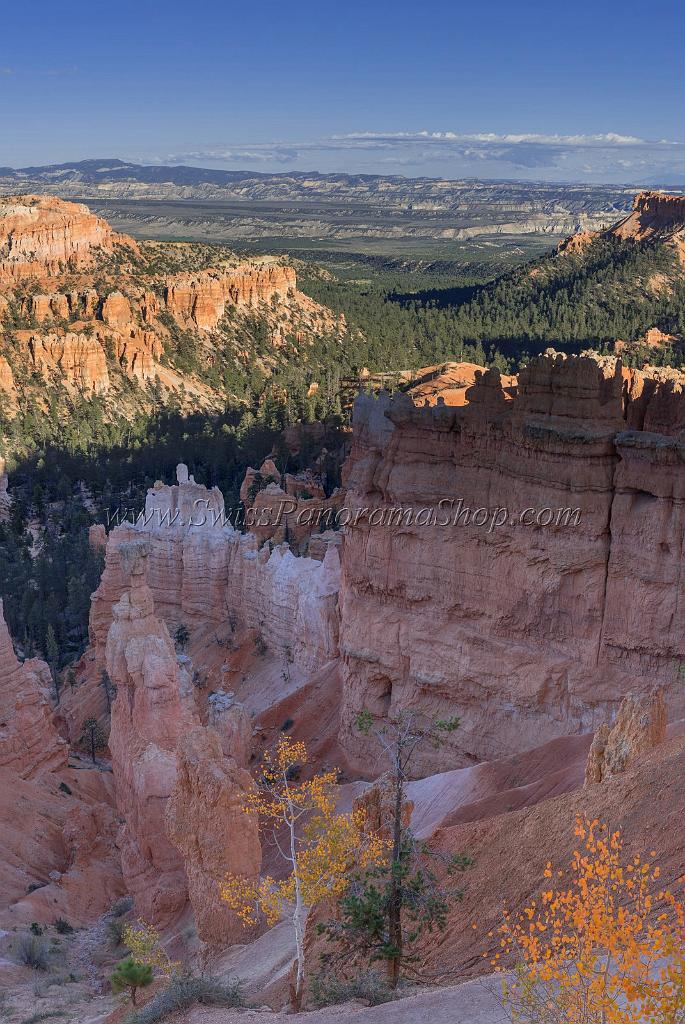 16647_01_10_2014_bryce_canyon_sunset_point_overlook_trail_utah_autumn_red_rock_blue_sky_fall_color_colorful_tree_mountain_forest_panoramic_landscape_photography_113_7004x10468.jpg