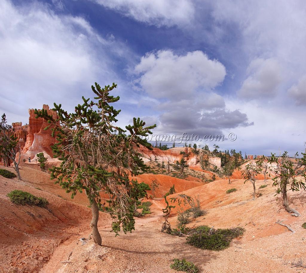 8737_09_10_2010_bryce_canyon_national_park_utah_sunset_point_navajo_loop_trail_red_rock_scenic_outlook_sky_cloud_panoramic_landscape_photography_panorama_landschaft_77_6504x5807