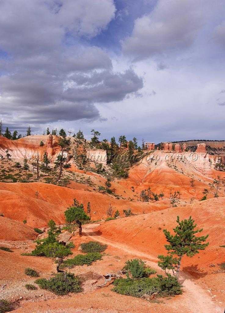8738_09_10_2010_bryce_canyon_national_park_utah_sunset_point_navajo_loop_trail_red_rock_scenic_outlook_sky_cloud_panoramic_landscape_photography_panorama_landschaft_78_4324x6003.jpg