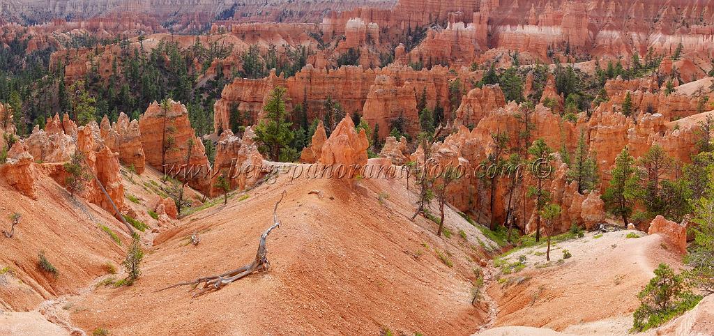 8739_09_10_2010_bryce_canyon_national_park_utah_sunset_point_navajo_loop_trail_red_rock_scenic_outlook_sky_cloud_panoramic_landscape_photography_panorama_landschaft_79_8726x4107.jpg