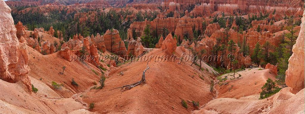 8740_09_10_2010_bryce_canyon_national_park_utah_sunset_point_navajo_loop_trail_red_rock_scenic_outlook_sky_cloud_panoramic_landscape_photography_panorama_landschaft_80_11340x4247.jpg