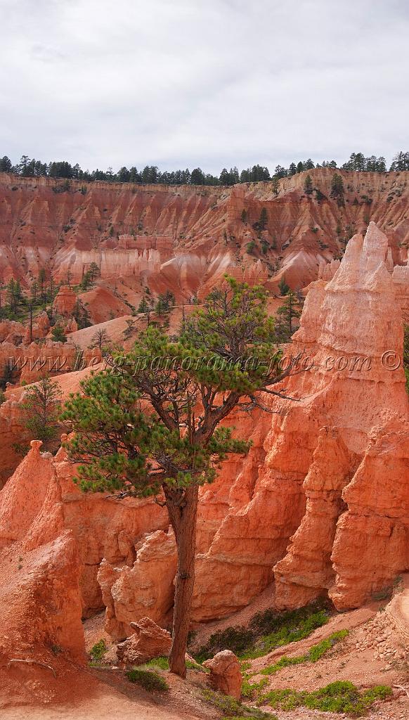 8741_09_10_2010_bryce_canyon_national_park_utah_sunset_point_navajo_loop_trail_red_rock_scenic_outlook_sky_cloud_panoramic_landscape_photography_panorama_landschaft_81_4250x7477.jpg