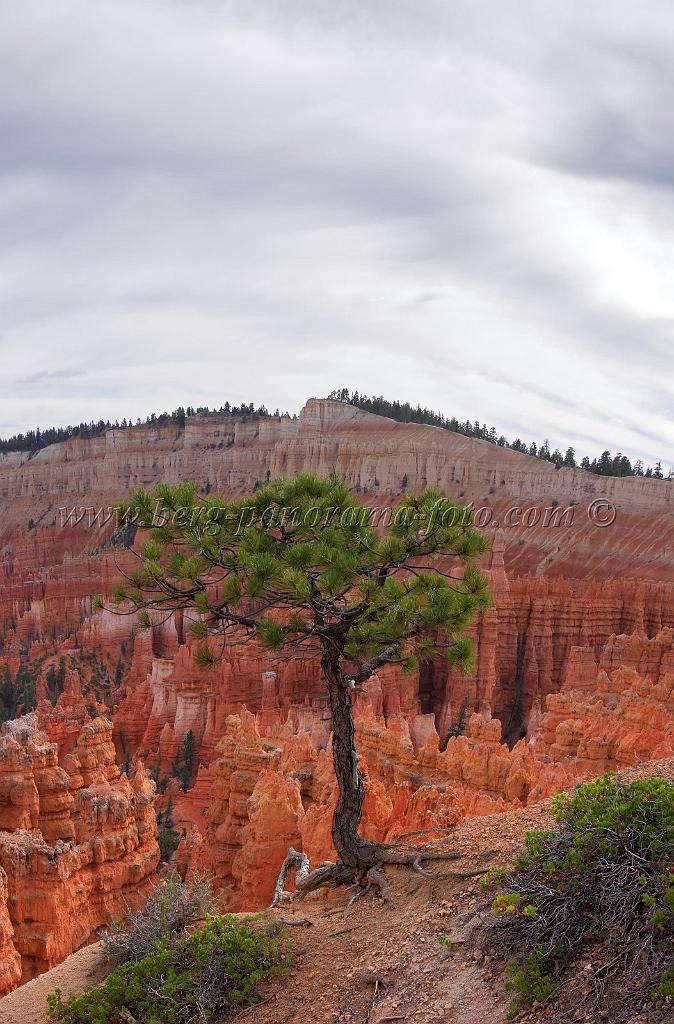 8753_09_10_2010_bryce_canyon_national_park_utah_sunset_point_rim_trail_red_rock_scenic_outlook_sky_cloud_panoramic_landscape_photography_panorama_landschaft_115_4069x6178.jpg