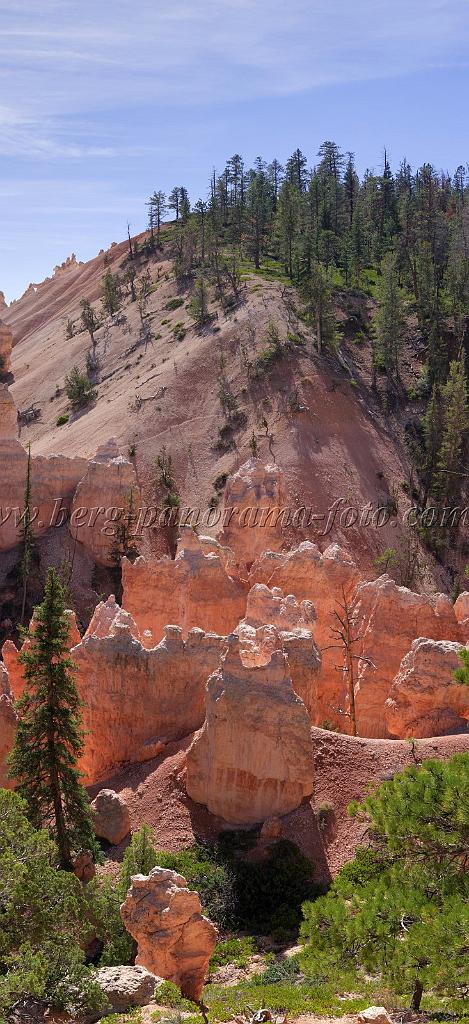 8834_10_10_2010_bryce_canyon_national_park_utah_swamp_canyon_rim_trail_red_rock_scenic_outlook_sky_cloud_panoramic_landscape_photography_panorama_landschaft_44_4233x9233.jpg