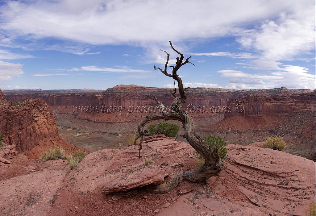 8291_05_10_2010_moab_canyonlands_national_park_upheaval_dome_road_utah_canyon_grand_viewpoint_red_rock_formation_panoramic_landscape_photography_54_6002x4102.jpg