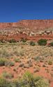 16563_03_10_2014_capitol_reef_utah_overlook_autumn_red_rock_blue_sky_fall_color_colorful_tree_mountain_forest_panoramic_landscape_photography_landschaft_17_7329x11992