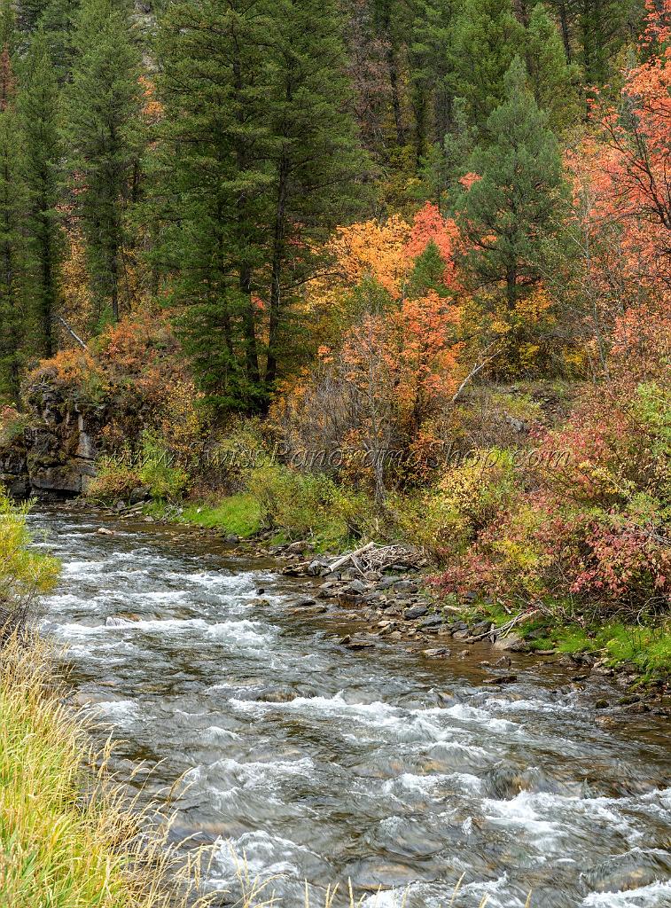 15859_21_09_2014_chicken_creek_utah_autumn_color_colorful_fall_foliage_viewpoint_forest_panoramic_landscape_photography_landschaft_foto_bach_19_7082x9580.jpg
