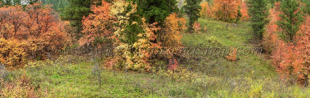15862_21_09_2014_chicken_creek_utah_autumn_color_colorful_fall_foliage_viewpoint_forest_panoramic_landscape_photography_landschaft_foto_bach_14_19851x6329.jpg