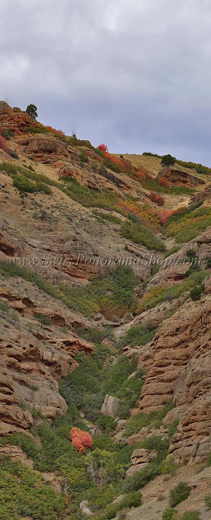 13001_23_09_2012_coalville_utah_tree_autumn_color_colorful_fall_foliage_leaves_mountain_forest_panoramic_landscape_photography_panorama_landschaft_foto_1_6004x14780