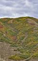 13002_23_09_2012_coalville_utah_tree_autumn_color_colorful_fall_foliage_leaves_mountain_forest_panoramic_landscape_photography_panorama_landschaft_foto_2_6821x10815