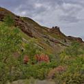 13004_23_09_2012_coalville_utah_tree_autumn_color_colorful_fall_foliage_leaves_mountain_forest_panoramic_landscape_photography_panorama_landschaft_foto_4_10487x10575