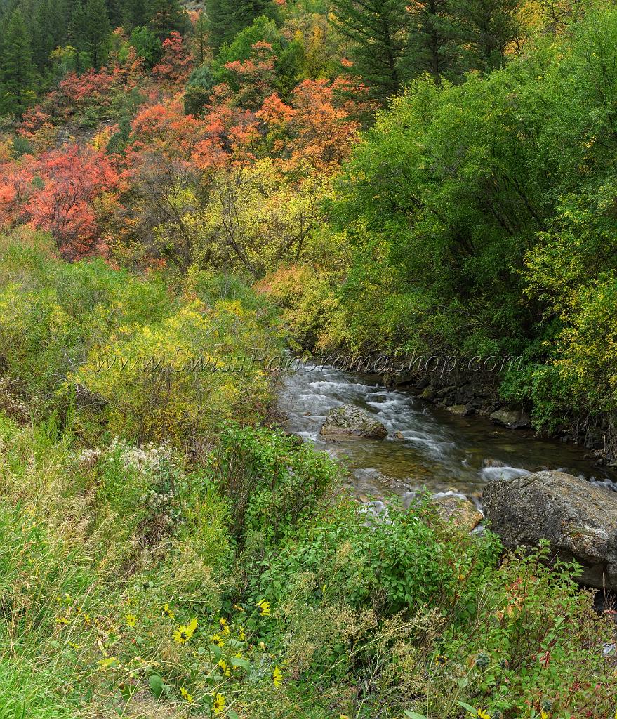 15864_21_09_2014_cottonwood_canyon_utah_autumn_color_colorful_fall_foliage_viewpoint_forest_panoramic_landscape_photography_landschaft_foto_bach_12_5922x6894.jpg