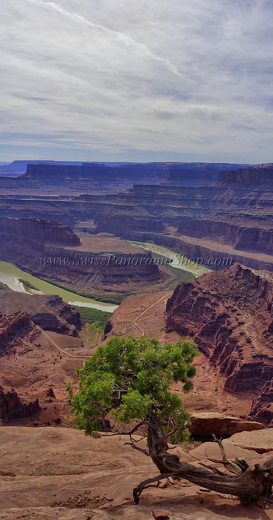 13921_09_10_2012_moab_dead_horse_point_state_park_utah_canyon_red_rock_formation_sand_desert_autum_fall_color_panoramic_landscape_photography_landschaft_foto_panorama_15_7239x13813.jpg