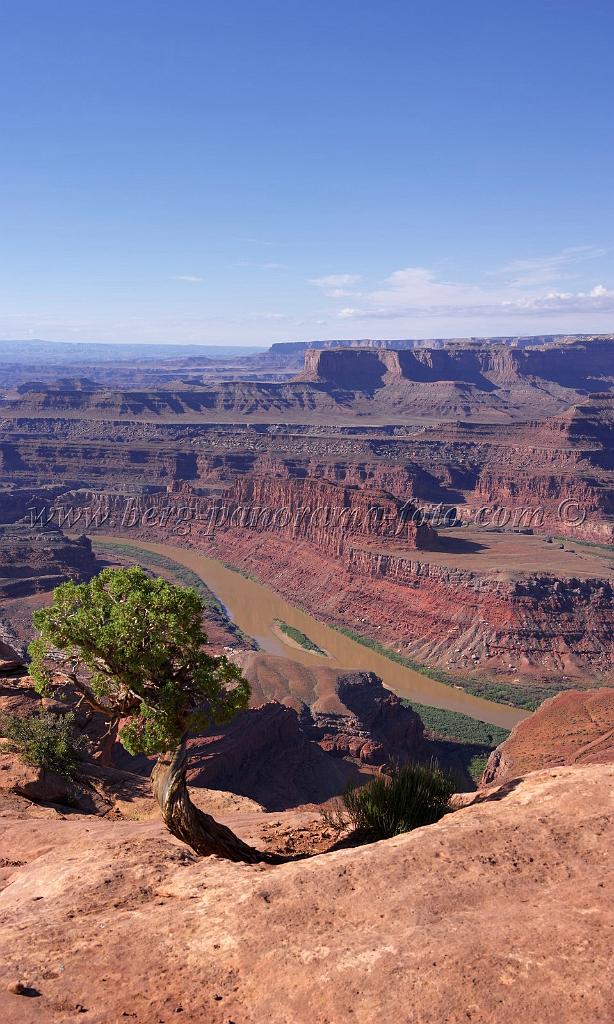 8311_05_10_2010_moab_dead_horse_point_state_park_utah_canyon_red_rock_formation_sand_desert_autum_fall_color_panoramic_landscape_photography_13_4321x7208.jpg