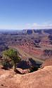 8311_05_10_2010_moab_dead_horse_point_state_park_utah_canyon_red_rock_formation_sand_desert_autum_fall_color_panoramic_landscape_photography_13_4321x7208