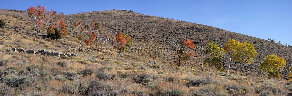9085_13_10_2010_fish_lake_utah_autumn_color_fall_foliage_leaves_mountain_forest_panoramic_photography_photo_foto_panorama_landscape_landschaft_13_11335x3723.jpg