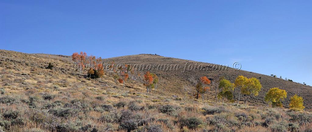 9086_13_10_2010_fish_lake_utah_autumn_color_fall_foliage_leaves_mountain_forest_panoramic_photography_photo_foto_panorama_landscape_landschaft_14_8710x3699.jpg