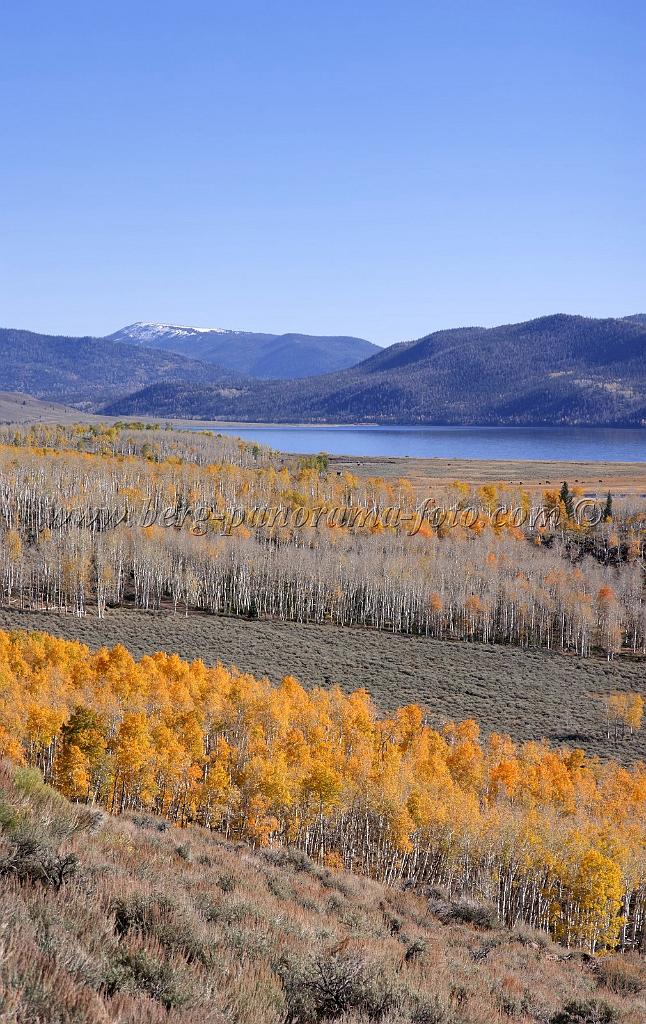 9087_13_10_2010_fish_lake_utah_autumn_color_fall_foliage_leaves_mountain_forest_panoramic_photography_photo_foto_panorama_landscape_landschaft_15_4190x6633.jpg