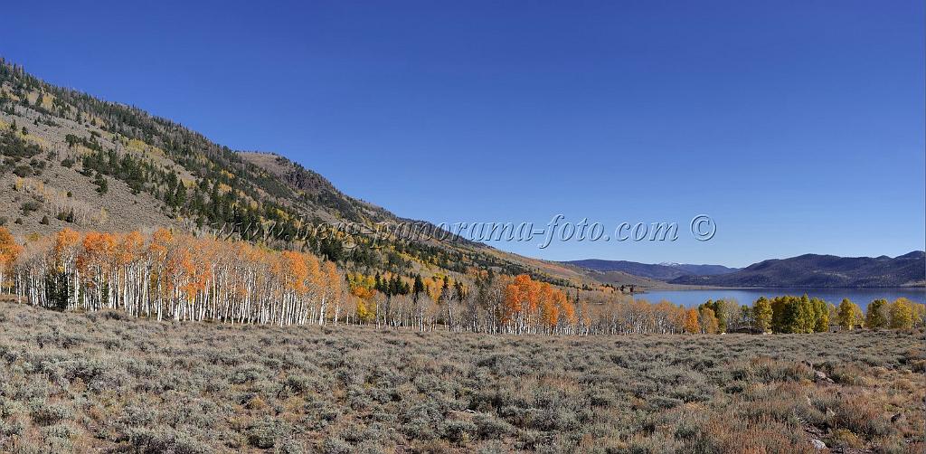 9092_13_10_2010_fish_lake_utah_autumn_color_fall_foliage_leaves_mountain_forest_panoramic_photography_photo_foto_panorama_landscape_landschaft_20_10214x5010.jpg