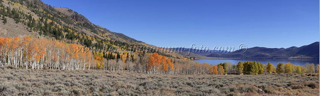 9093_13_10_2010_fish_lake_utah_autumn_color_fall_foliage_leaves_mountain_forest_panoramic_photography_photo_foto_panorama_landscape_landschaft_21_14004x4219.jpg