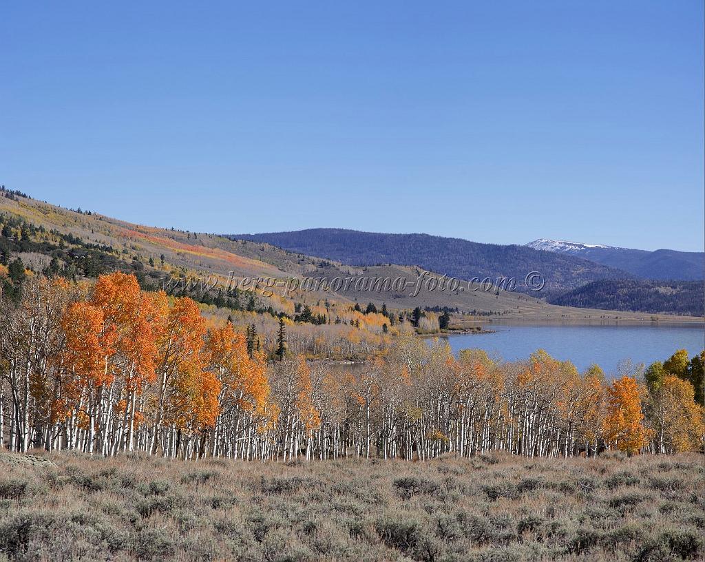 9094_13_10_2010_fish_lake_utah_autumn_color_fall_foliage_leaves_mountain_forest_panoramic_photography_photo_foto_panorama_landscape_landschaft_22_6716x5356.jpg