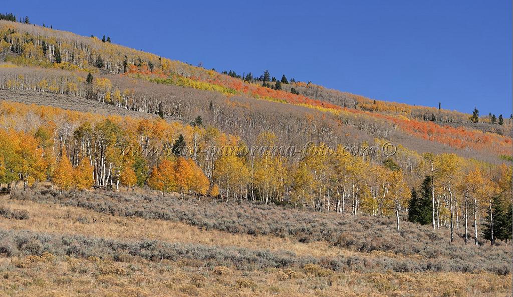 9097_13_10_2010_fish_lake_utah_autumn_color_fall_foliage_leaves_mountain_forest_panoramic_photography_photo_foto_panorama_landscape_landschaft_25_10676x6194.jpg