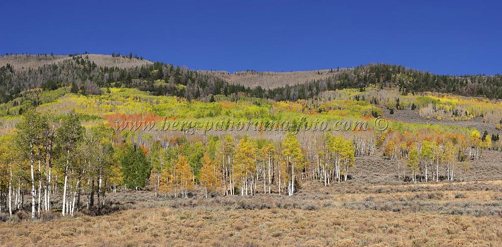 9098_13_10_2010_fish_lake_utah_autumn_color_fall_foliage_leaves_mountain_forest_panoramic_photography_photo_foto_panorama_landscape_landschaft_26_13127x6462.jpg
