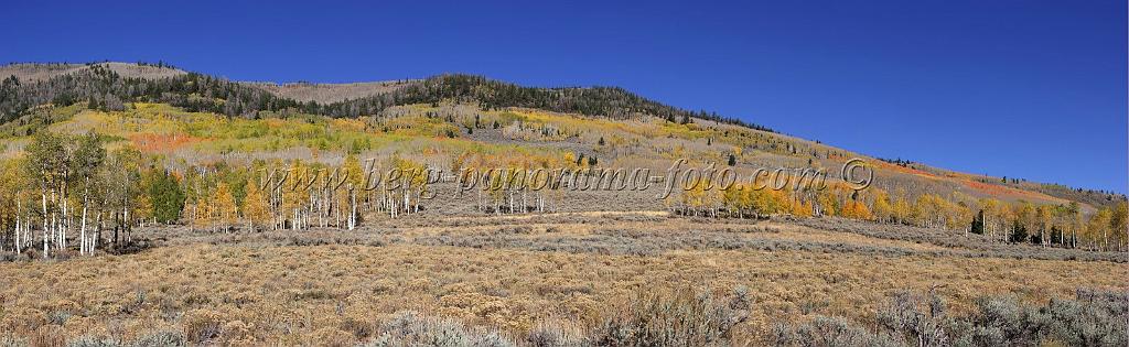 9099_13_10_2010_fish_lake_utah_autumn_color_fall_foliage_leaves_mountain_forest_panoramic_photography_photo_foto_panorama_landscape_landschaft_27_13640x4202.jpg
