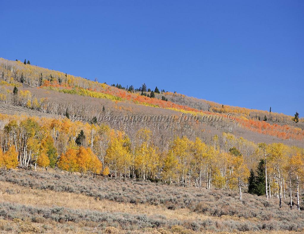 9101_13_10_2010_fish_lake_utah_autumn_color_fall_foliage_leaves_mountain_forest_panoramic_photography_photo_foto_panorama_landscape_landschaft_29_6412x4926.jpg