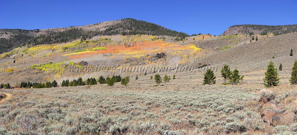 9104_13_10_2010_fish_lake_utah_autumn_color_fall_foliage_leaves_mountain_forest_panoramic_photography_photo_foto_panorama_landscape_landschaft_32_9097x4142.jpg