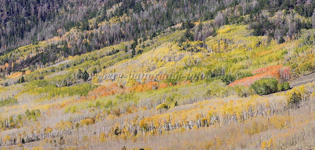 9106_13_10_2010_fish_lake_utah_autumn_color_fall_foliage_leaves_mountain_forest_panoramic_photography_photo_foto_panorama_landscape_landschaft_34_8649x4124.jpg