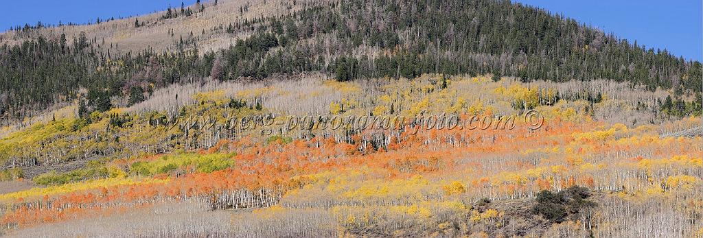 9107_13_10_2010_fish_lake_utah_autumn_color_fall_foliage_leaves_mountain_forest_panoramic_photography_photo_foto_panorama_landscape_landschaft_35_13258x4497.jpg