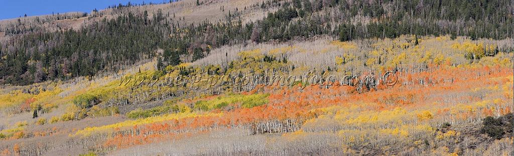 9108_13_10_2010_fish_lake_utah_autumn_color_fall_foliage_leaves_mountain_forest_panoramic_photography_photo_foto_panorama_landscape_landschaft_36_13659x4150.jpg