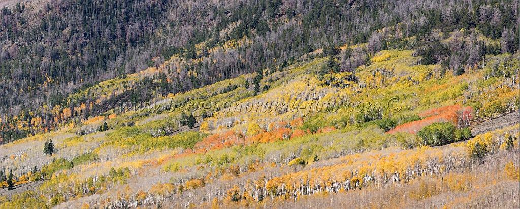 9109_13_10_2010_fish_lake_utah_autumn_color_fall_foliage_leaves_mountain_forest_panoramic_photography_photo_foto_panorama_landscape_landschaft_37_10357x4171.jpg