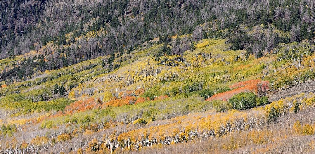 9110_13_10_2010_fish_lake_utah_autumn_color_fall_foliage_leaves_mountain_forest_panoramic_photography_photo_foto_panorama_landscape_landschaft_38_8605x4214.jpg