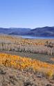 9087_13_10_2010_fish_lake_utah_autumn_color_fall_foliage_leaves_mountain_forest_panoramic_photography_photo_foto_panorama_landscape_landschaft_15_4190x6633