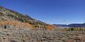 9092_13_10_2010_fish_lake_utah_autumn_color_fall_foliage_leaves_mountain_forest_panoramic_photography_photo_foto_panorama_landscape_landschaft_20_10214x5010