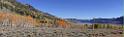 9093_13_10_2010_fish_lake_utah_autumn_color_fall_foliage_leaves_mountain_forest_panoramic_photography_photo_foto_panorama_landscape_landschaft_21_14004x4219