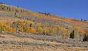 9097_13_10_2010_fish_lake_utah_autumn_color_fall_foliage_leaves_mountain_forest_panoramic_photography_photo_foto_panorama_landscape_landschaft_25_10676x6194