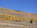 9101_13_10_2010_fish_lake_utah_autumn_color_fall_foliage_leaves_mountain_forest_panoramic_photography_photo_foto_panorama_landscape_landschaft_29_6412x4926