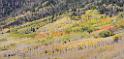 9106_13_10_2010_fish_lake_utah_autumn_color_fall_foliage_leaves_mountain_forest_panoramic_photography_photo_foto_panorama_landscape_landschaft_34_8649x4124