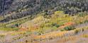 9110_13_10_2010_fish_lake_utah_autumn_color_fall_foliage_leaves_mountain_forest_panoramic_photography_photo_foto_panorama_landscape_landschaft_38_8605x4214