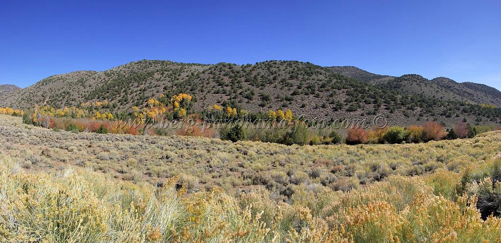 9115_13_10_2010_fremont_river_utah_autumn_color_fall_foliage_leaves_mountain_forest_panoramic_photography_photo_foto_panorama_landscape_landschaft_43_8703x4225.jpg