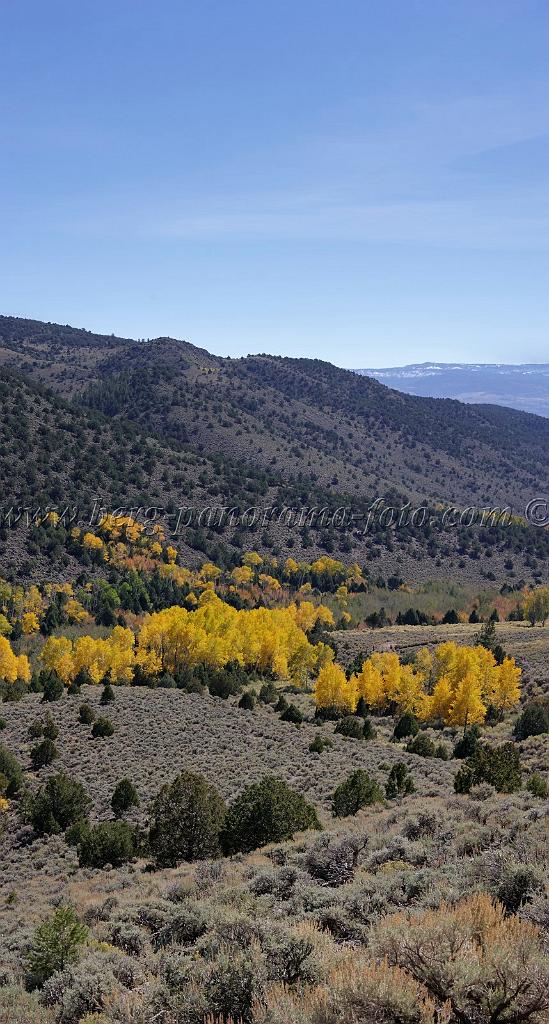 9119_13_10_2010_fremont_river_utah_autumn_color_fall_foliage_leaves_mountain_forest_panoramic_photography_photo_foto_panorama_landscape_landschaft_69_4253x7926.jpg